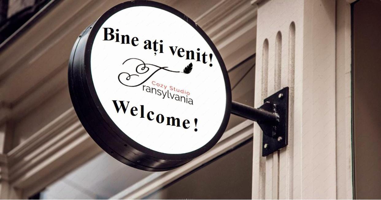 Transylvania Cozy Studio