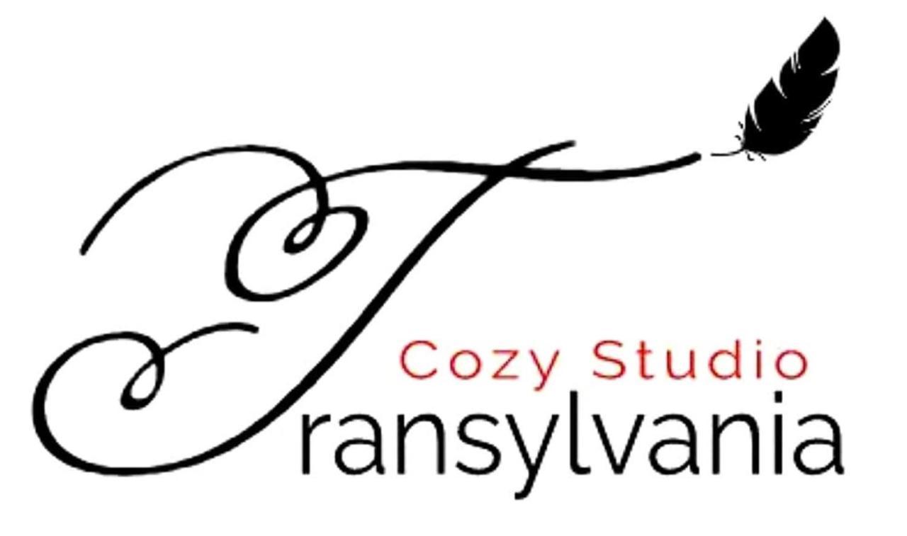 Apartament Transylvania Cozy Studio Brașov